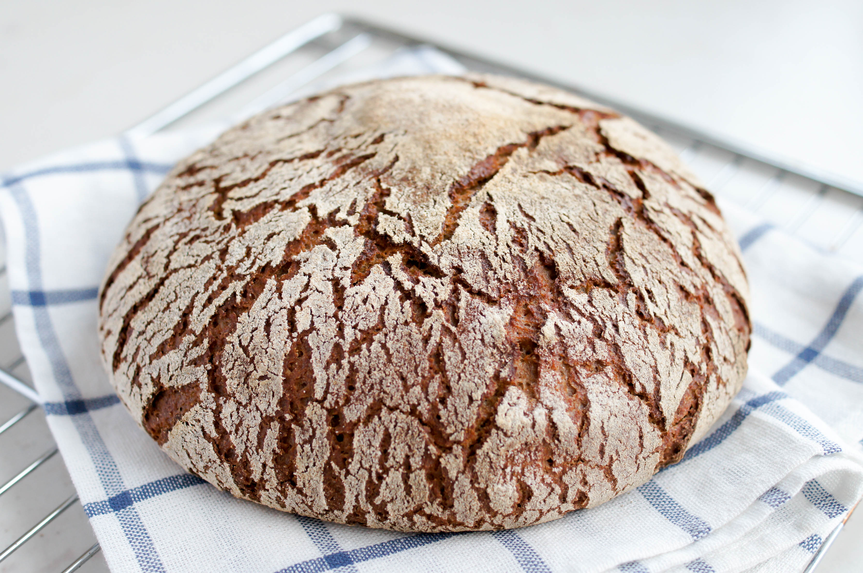 Подовой домашний хлеб. Хлеб ржаной подовый. Хлеб финский ржаной. Хлеб Финляндии рейкялейпя. Подовый хлеб на закваске.